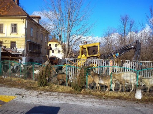 ... vse mogoče na grajskem dvorišču ....